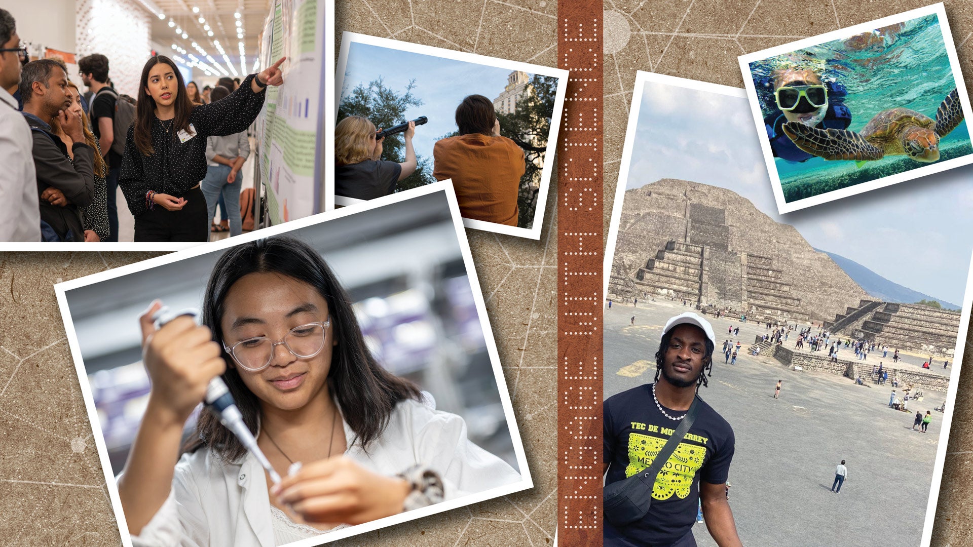 Scenes of students engaging in science in the field, in the lab and in the classroom.