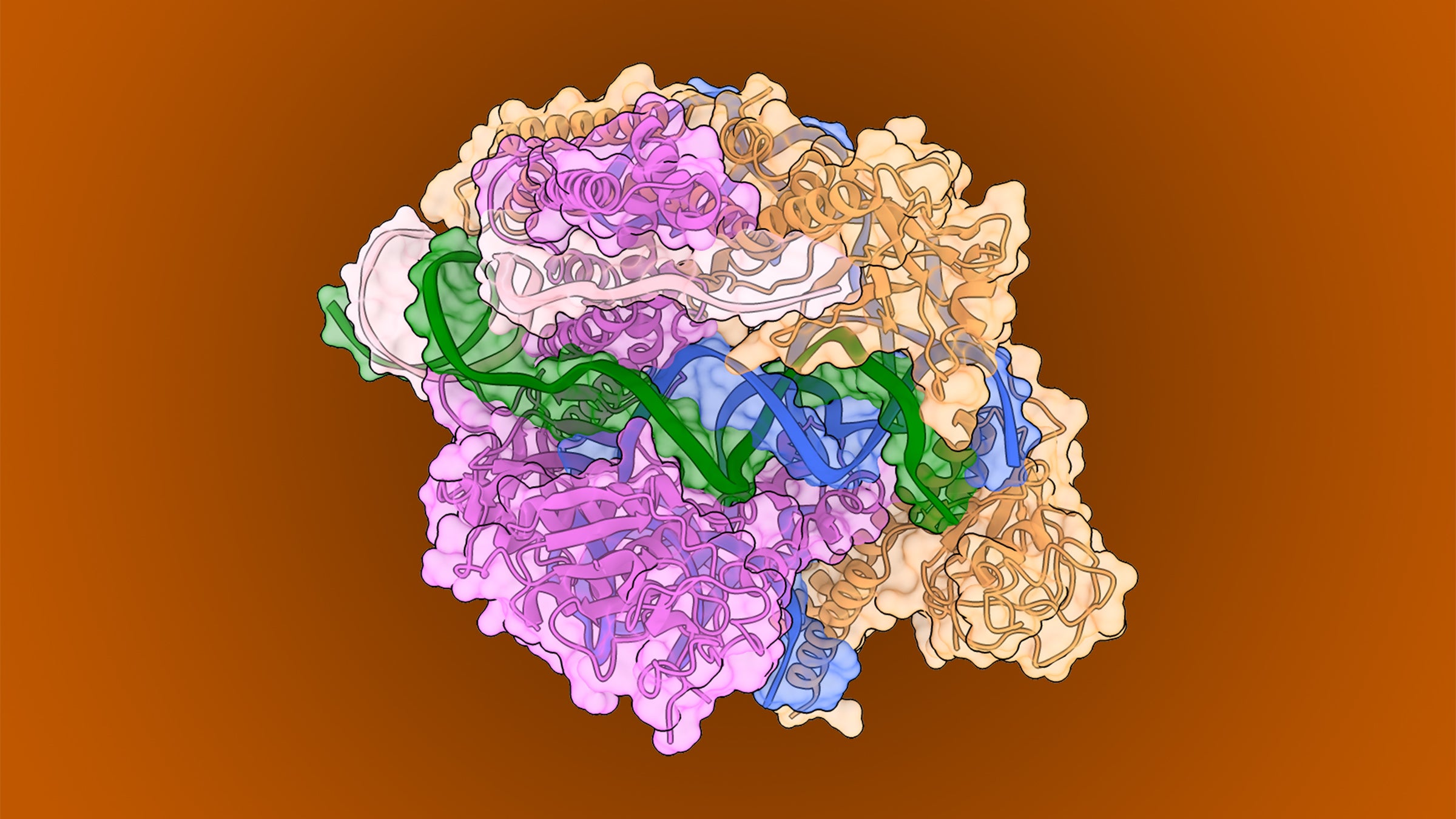 A tangled, multi-colored ribbon represents the three-dimensional structure of a protein