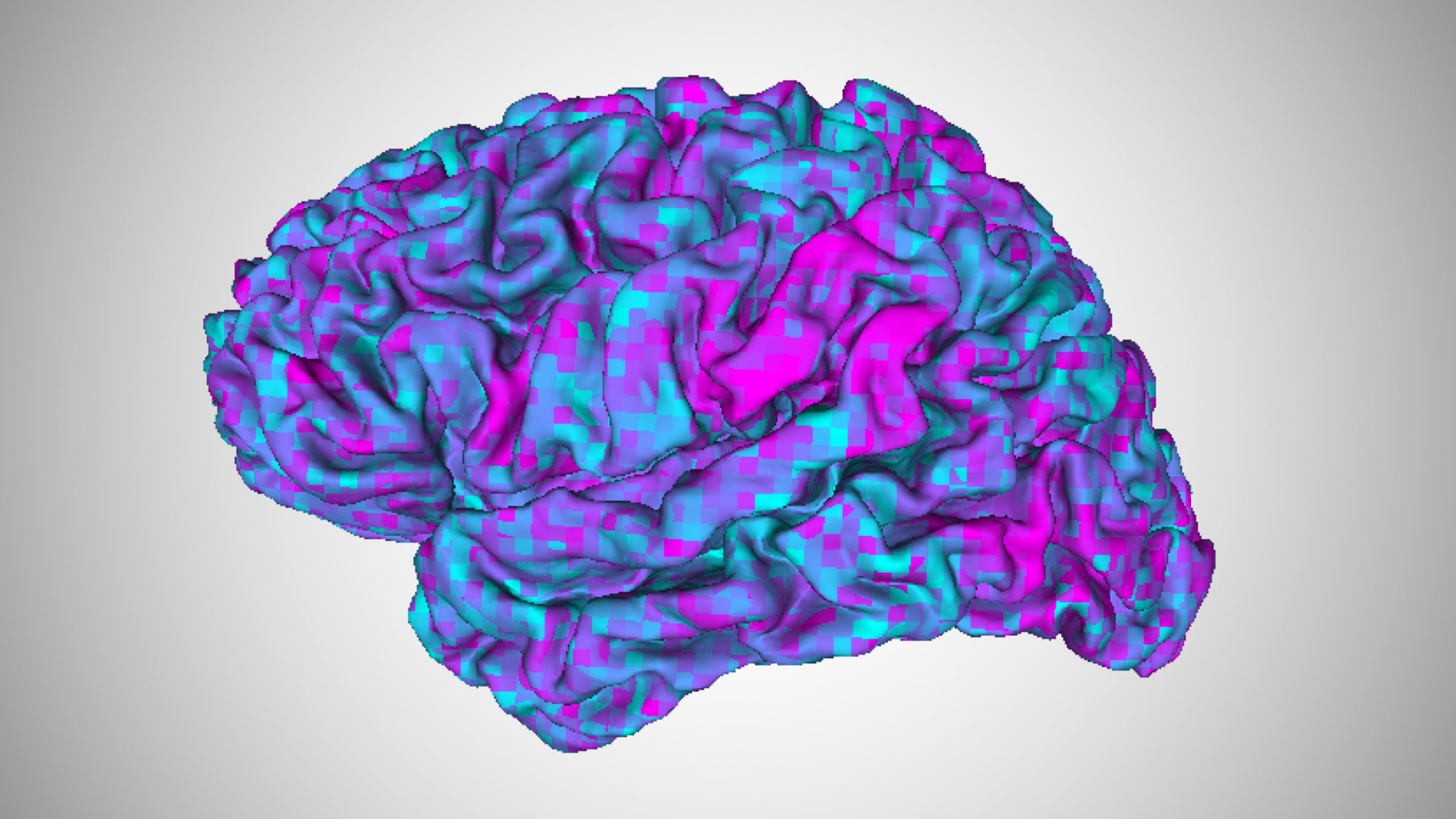 Colorful illustration of a human brain with different colors ranging from pink to blue to purple, indicating brain activity