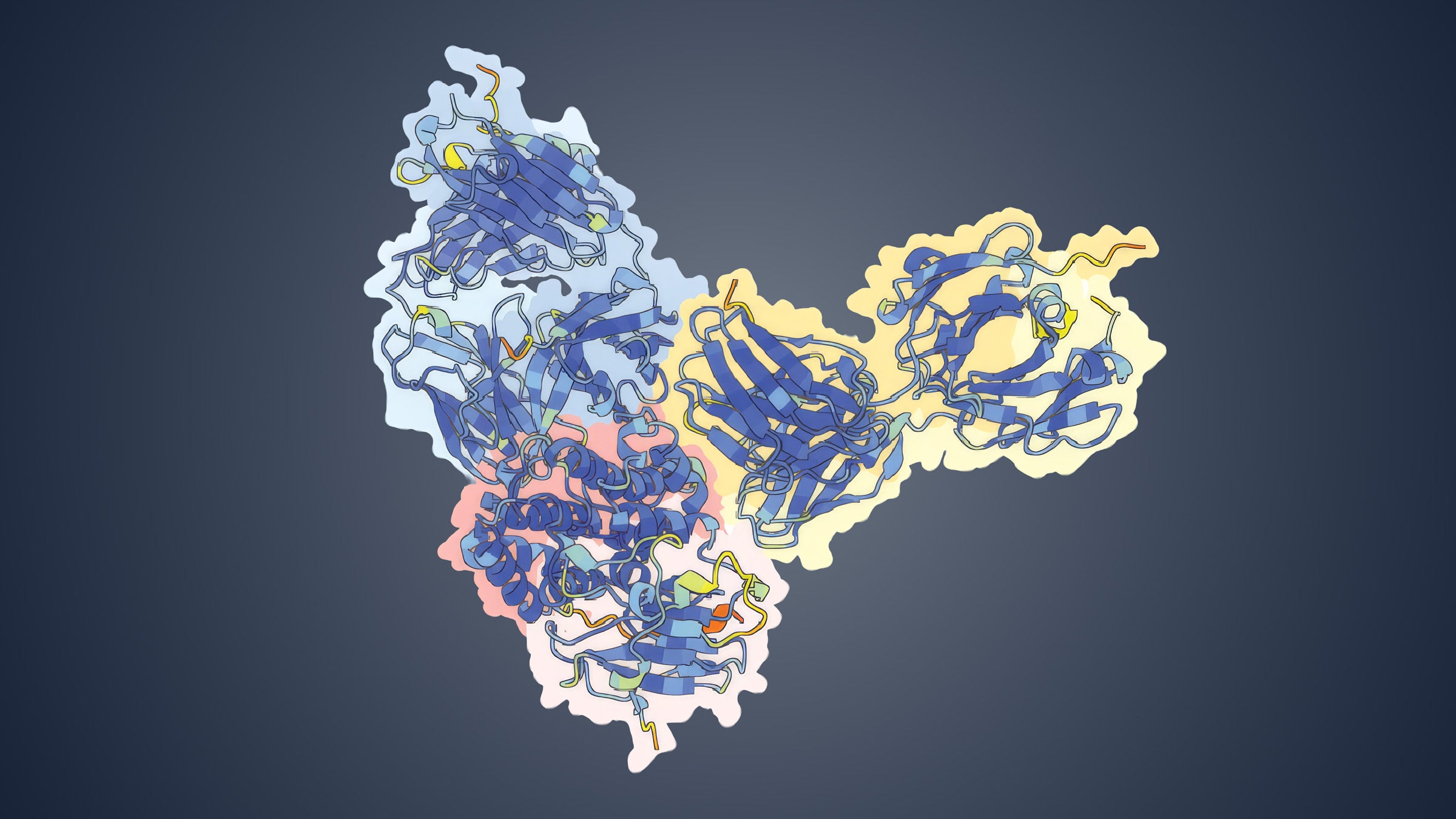 Structure of a surface protein on the monkeypox virus