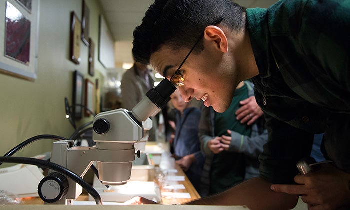 Scenes from a talk in December 2015 by Alex Wild called “Why Ants are Everywhere.” Photos by Vivian Abigiu.