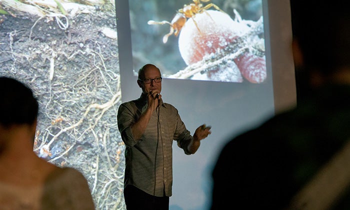 Scenes from a talk in December 2015 by Alex Wild called “Why Ants are Everywhere.” Photos by Vivian Abigiu.