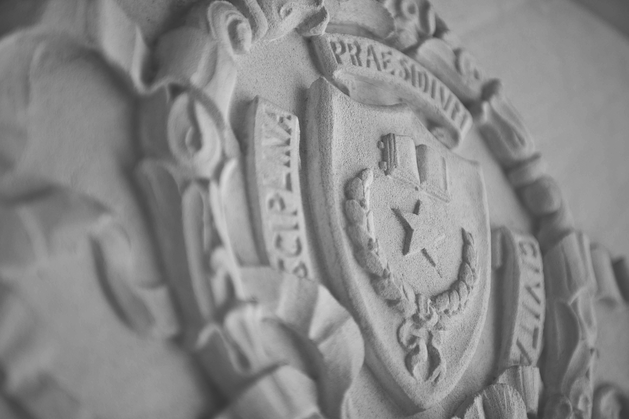 Photo of UT seal carved in stone