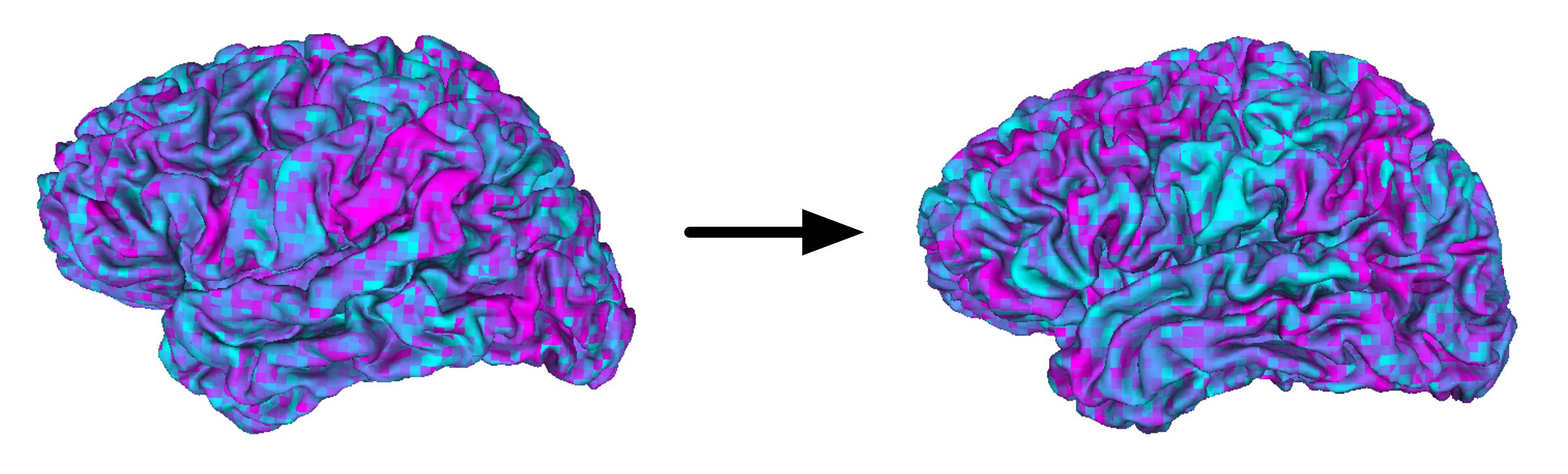 Brain activity from two brains, compared