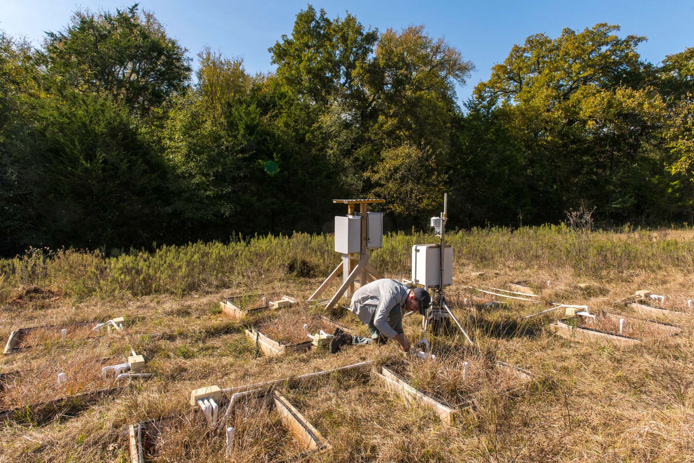 A scientist kneels in a tree-lined area with marked gardens near equipment as he measures the rate of calcium carbonate precipitation in the soil.