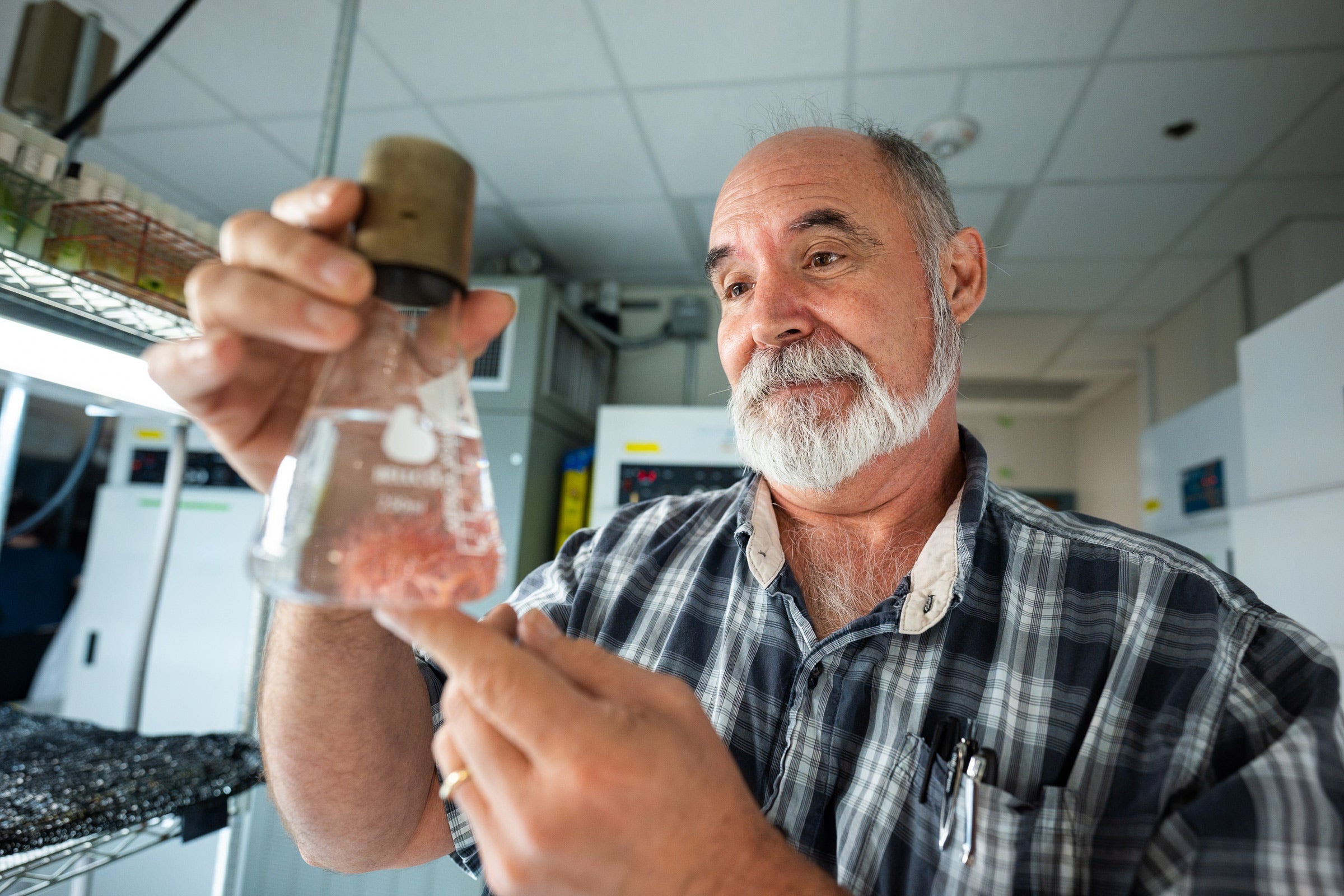 A scientist holds up a flask with a reddish substance floating in a clear liquid