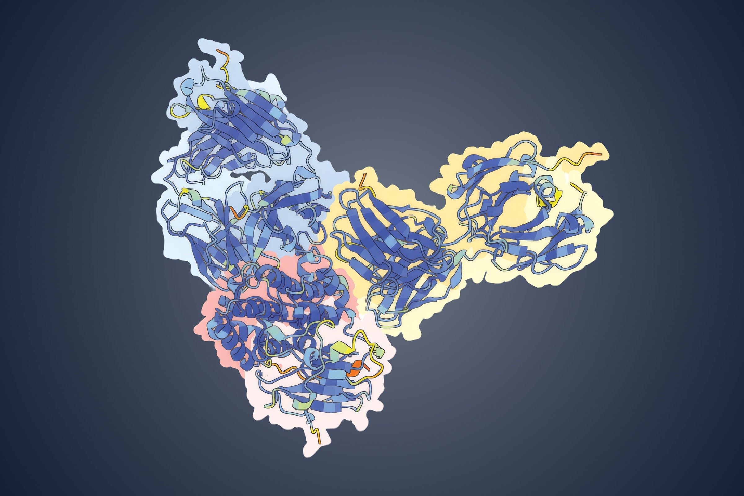 Structure of a surface protein on the monkeypox virus