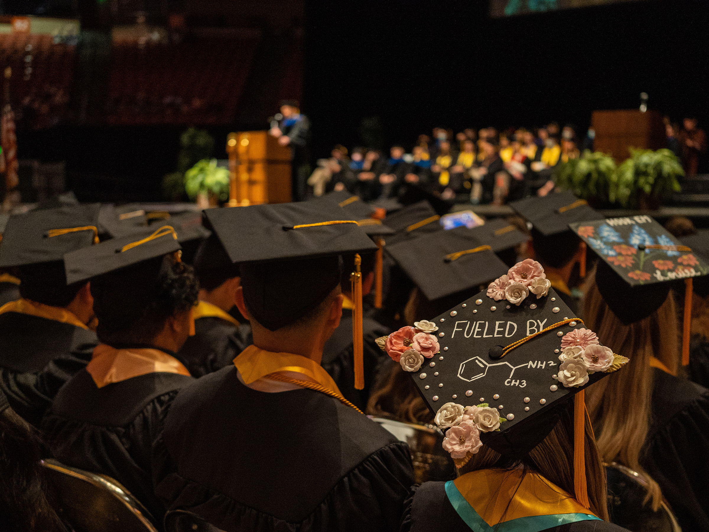 A photo of undergraduate students at commencement