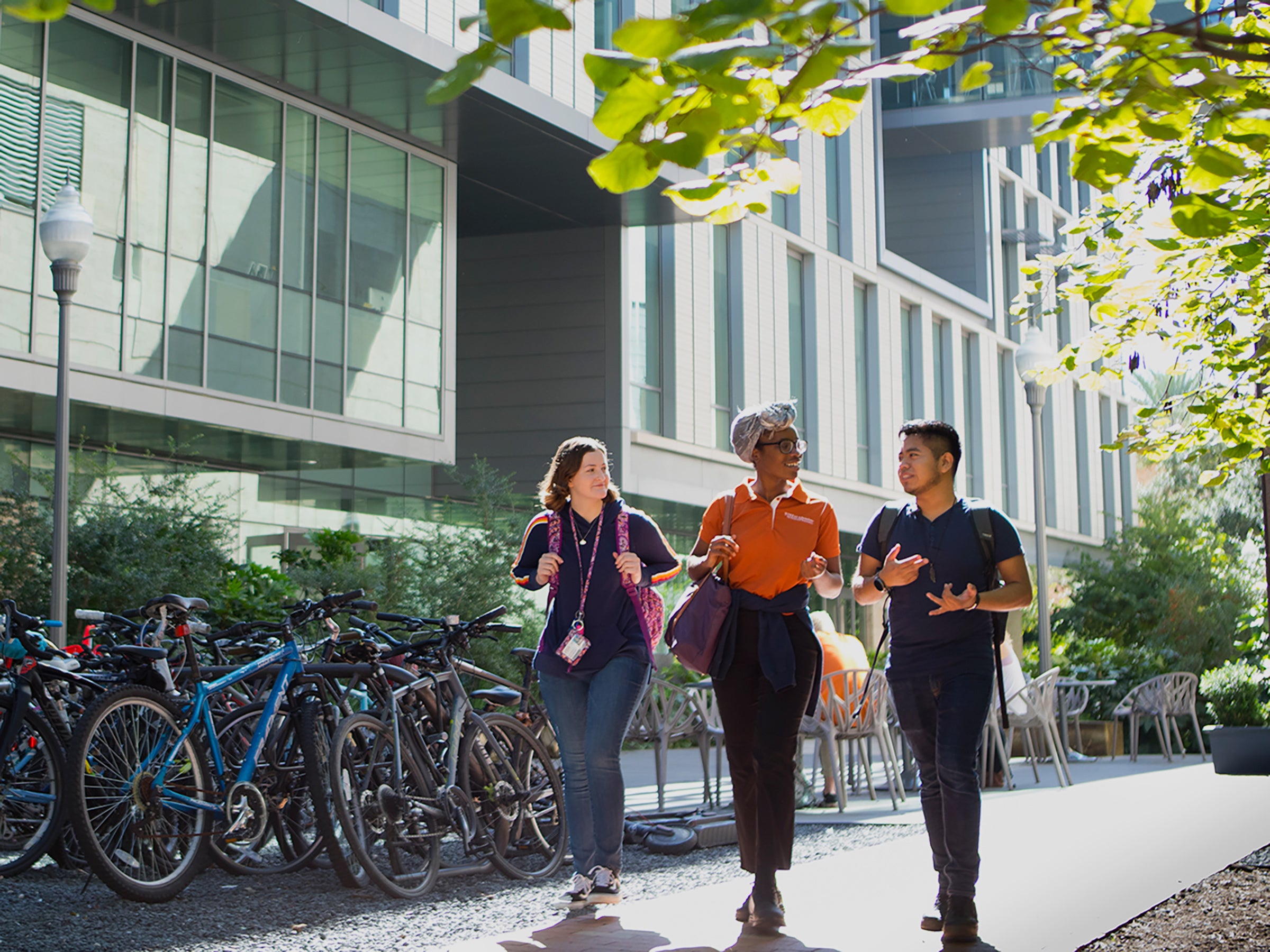 Photo of students on campus walking and conversing