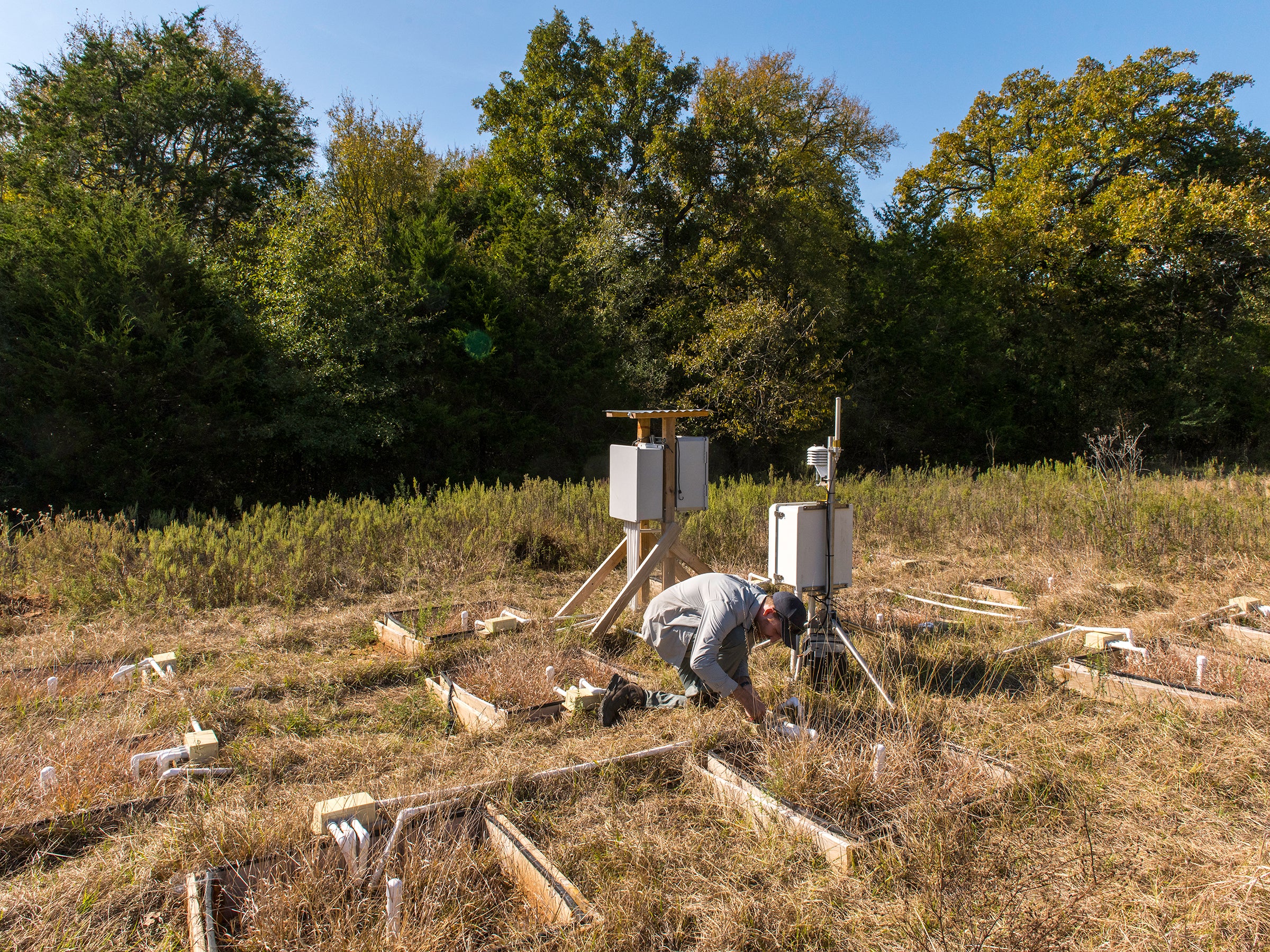 A photo of a scientist working in the field at Stengl Lost Pines Biological Research Station