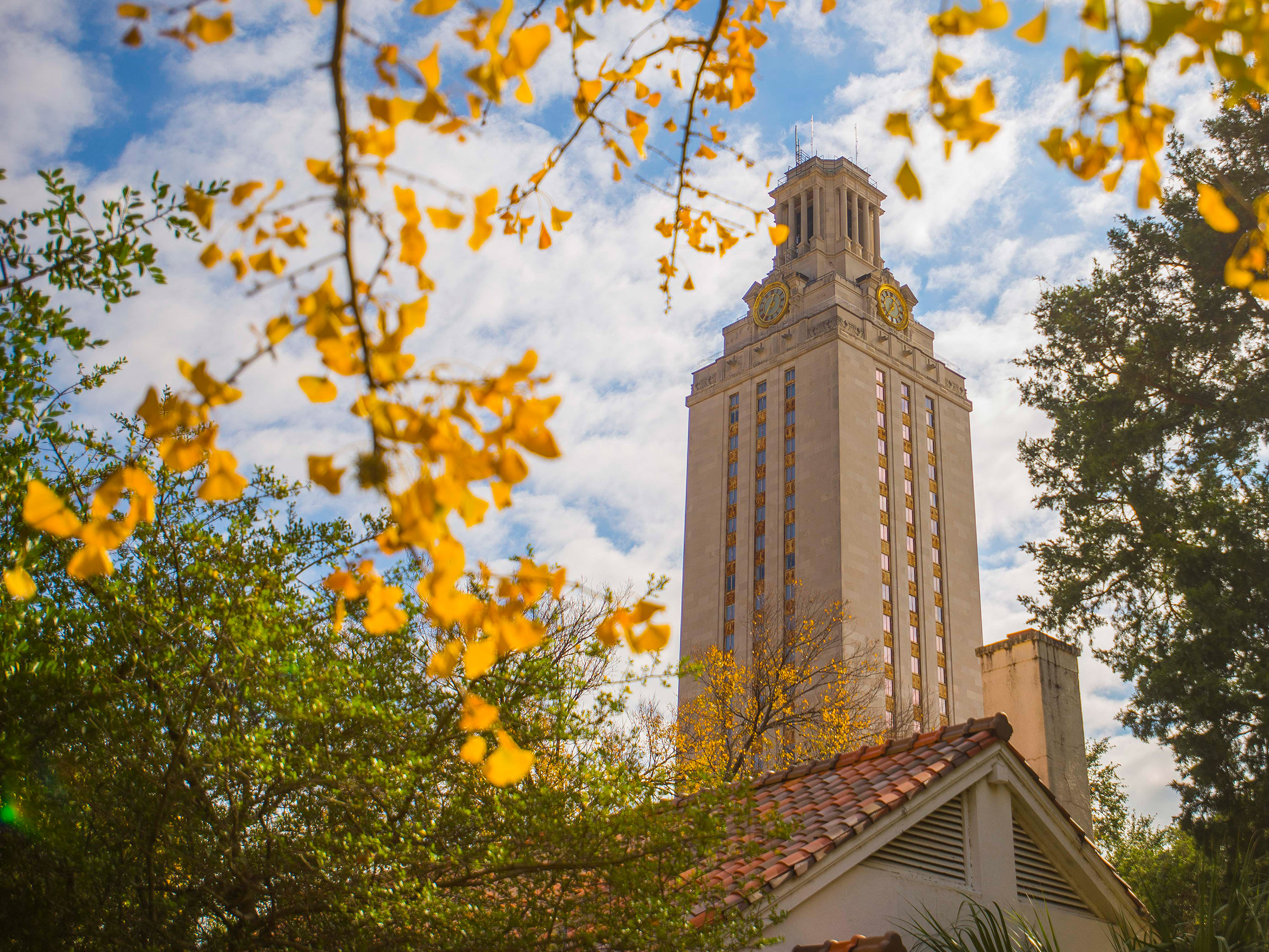 Photo of the UT Tower with fall-color foliage in the foreground.
