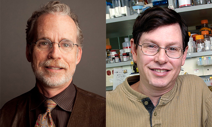 Side by side profile pictures of Eric Anslyn (left) and Andy Ellington (right)