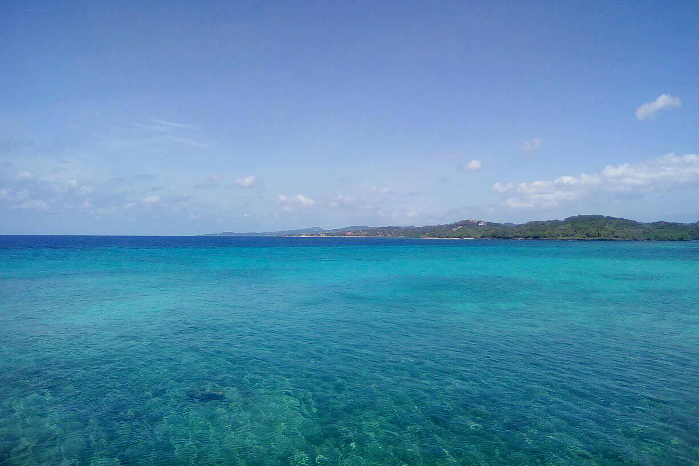Las islas de la Bahía están rodeadas de arrecifes Coralinos. Image from Wikimedia Commons by Luis Alfredo Romero