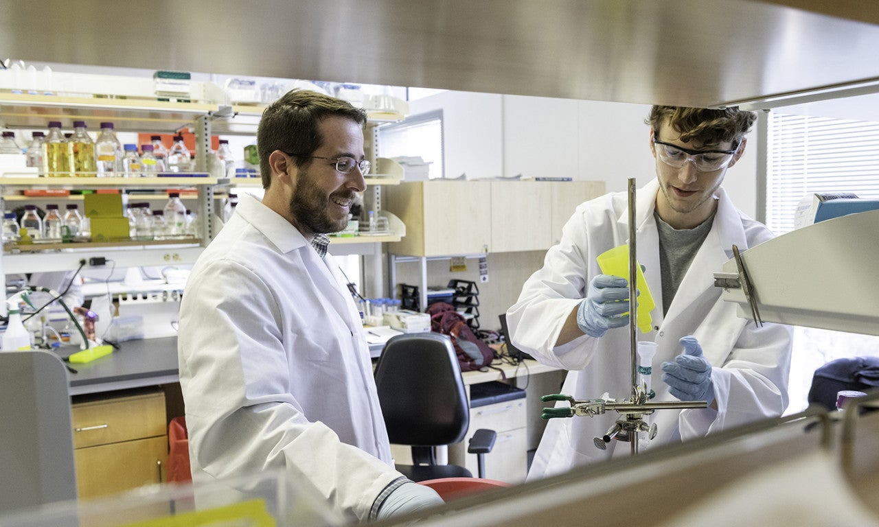 A professor and graduate student working in lab