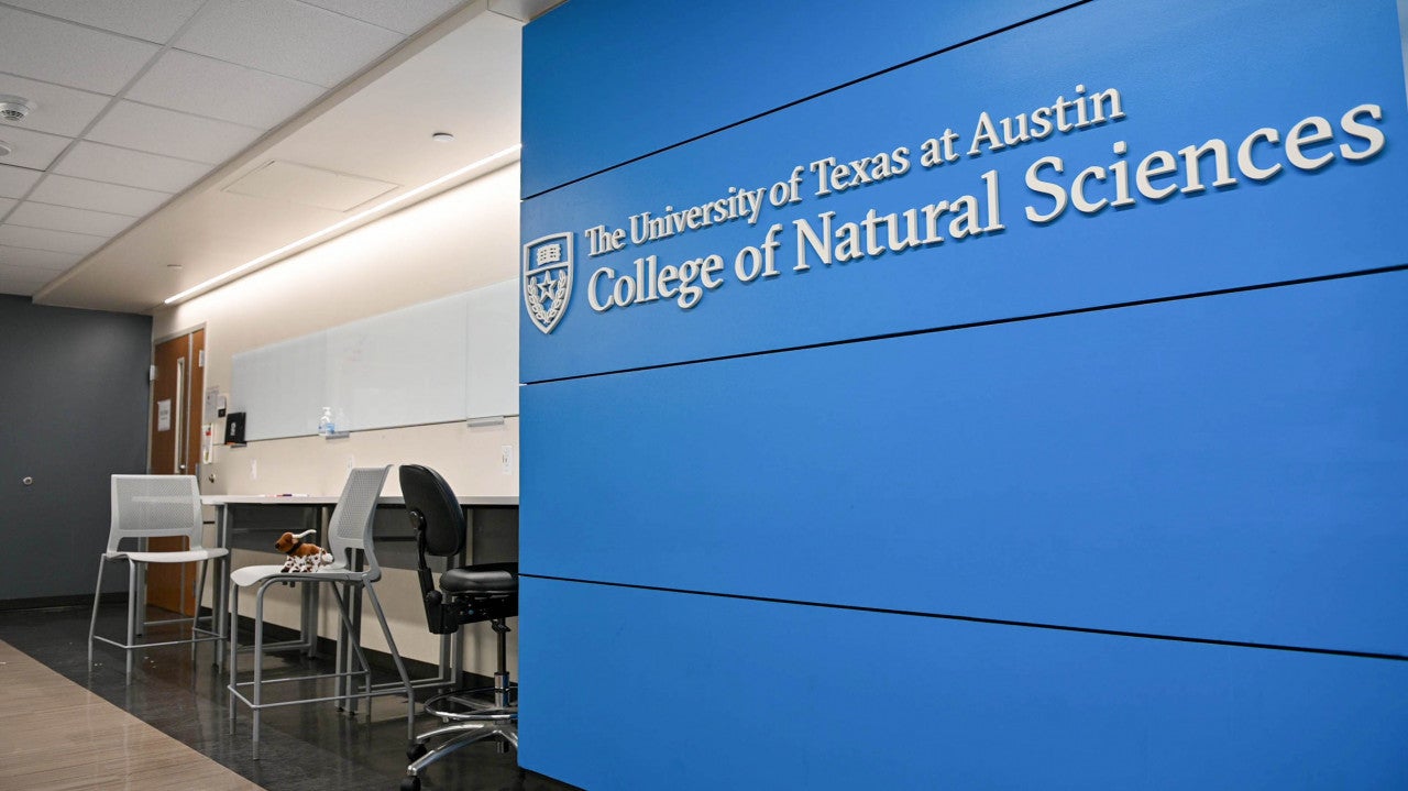 Study area in Painter Hall