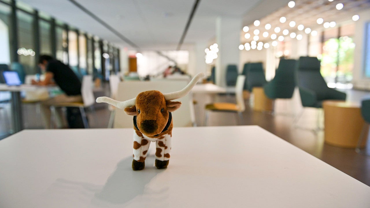 A stuffed Bevo sits on a study table