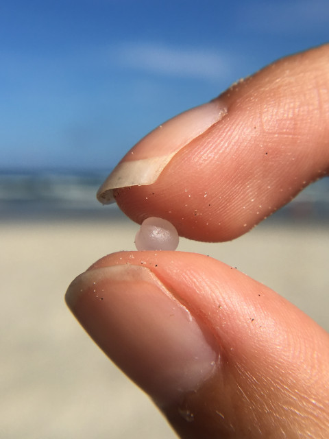 Closeup image of thumb and forefinger holding a tiny plastic ball between them with a blurry beach in the background