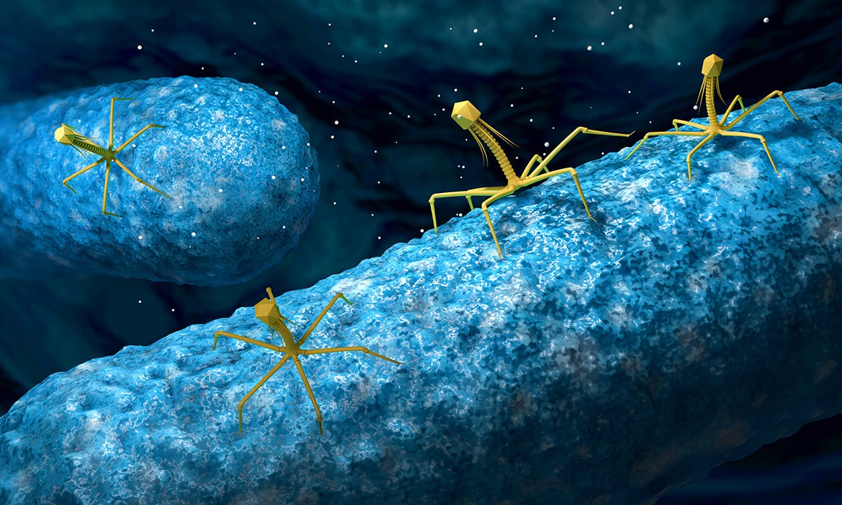 The World's Toughest Bacterium Can Withstand Anything From