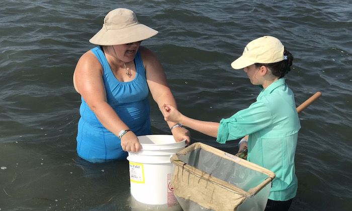 Two women in hats stand in the bay waters, one holding a bucket and one with a net