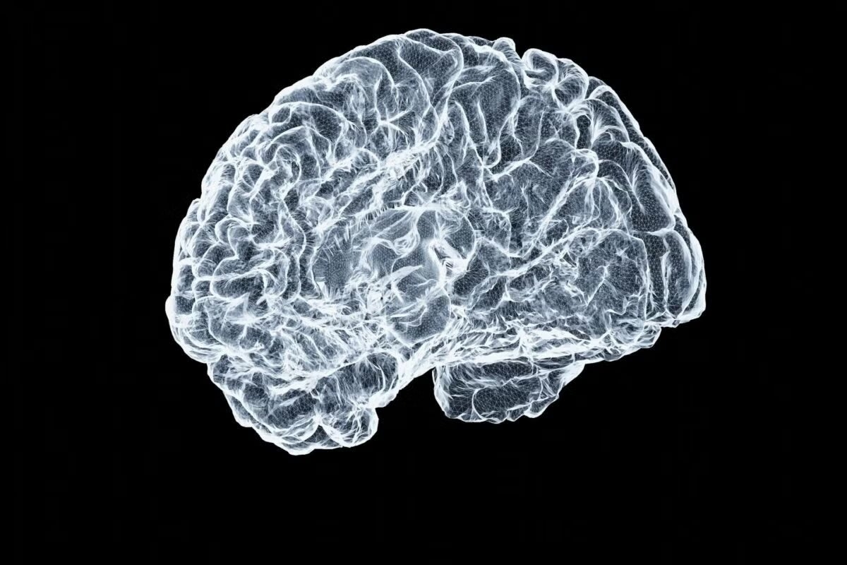 A computer representation of a human brain against a black backdrop