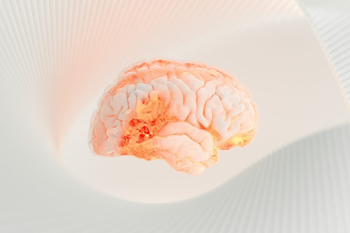 An illustration of a brain surrounded by abstract shapes 