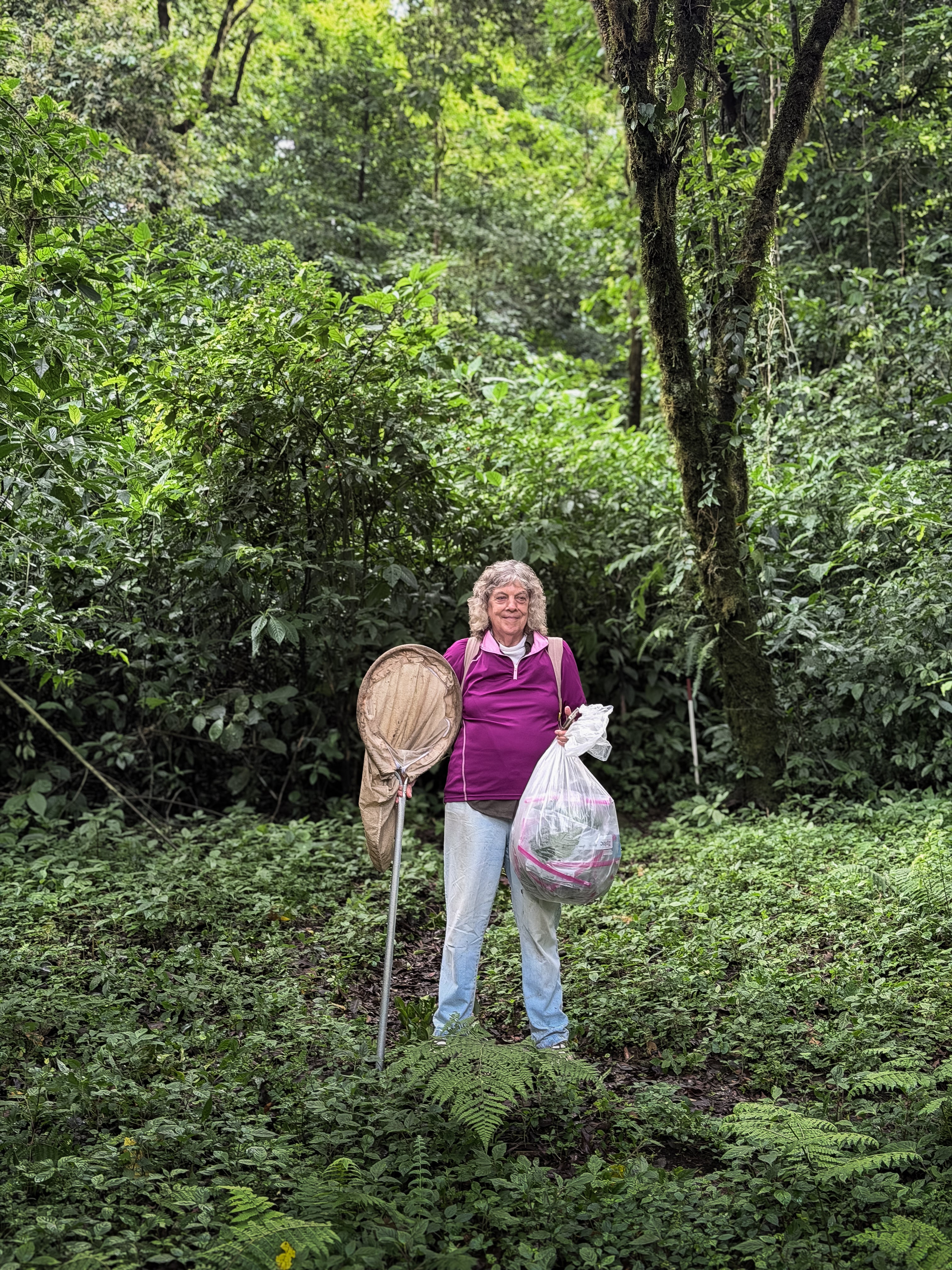 A scientist stands in a forest clearing holding an insect net and a bag of samples