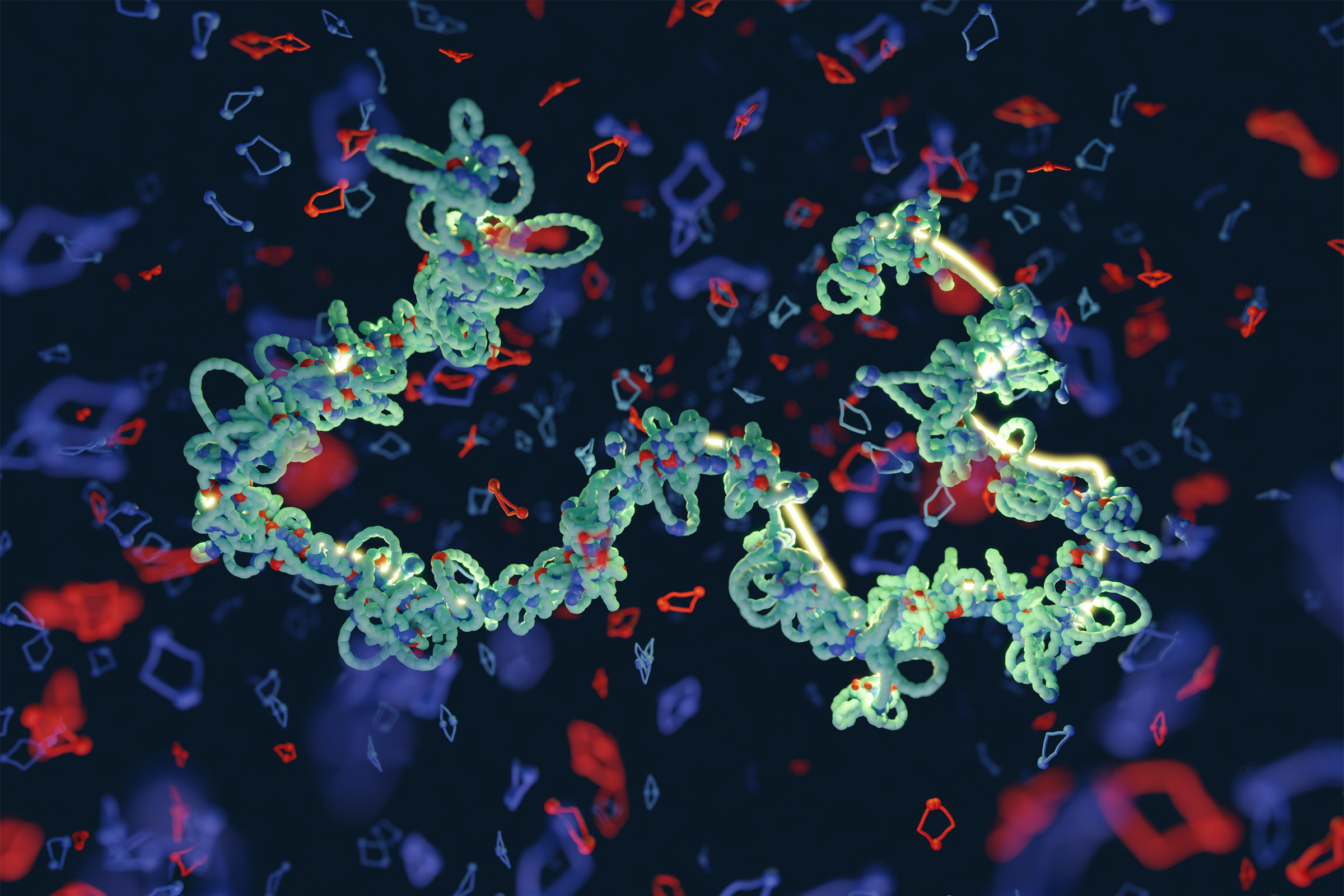 3D model depicting how the condensin molecules prompt the folding process