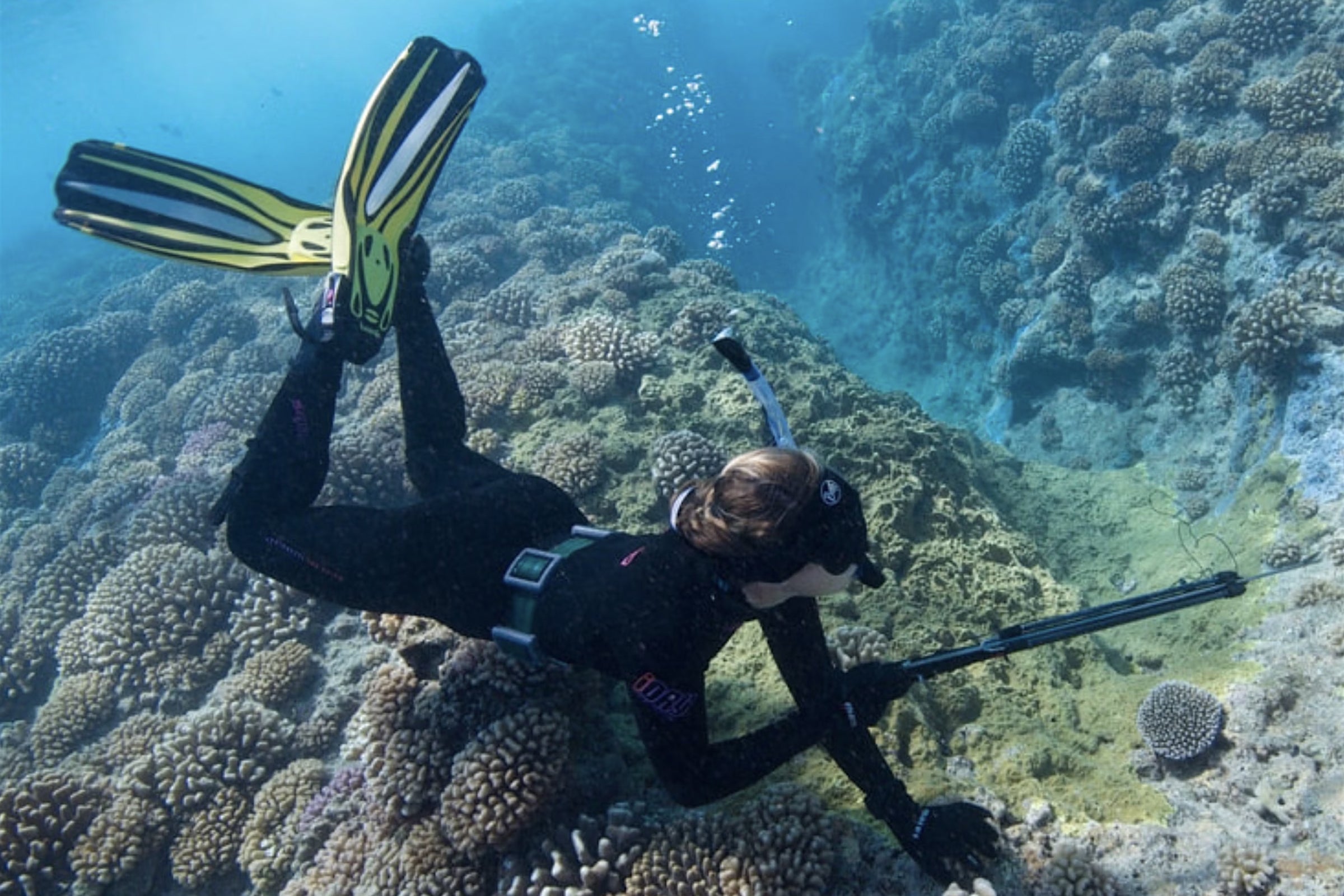 Jordan Casey diving on a coral reef
