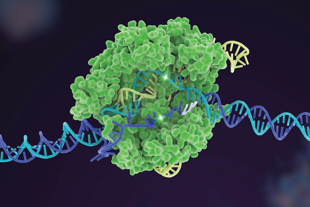 Artist image shows a tangle of DNA helixes 