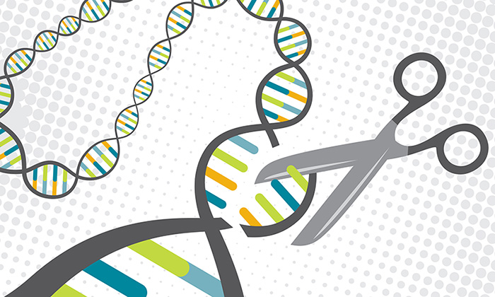 Illustration showing DNA helix being snipped by scissors 
