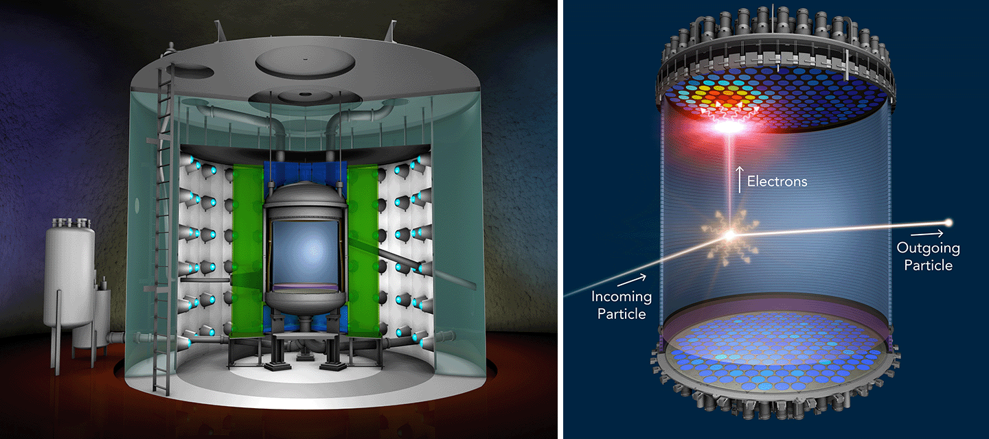 An illustration shows two cross sections of the LUX-ZEPLIN instrumentation