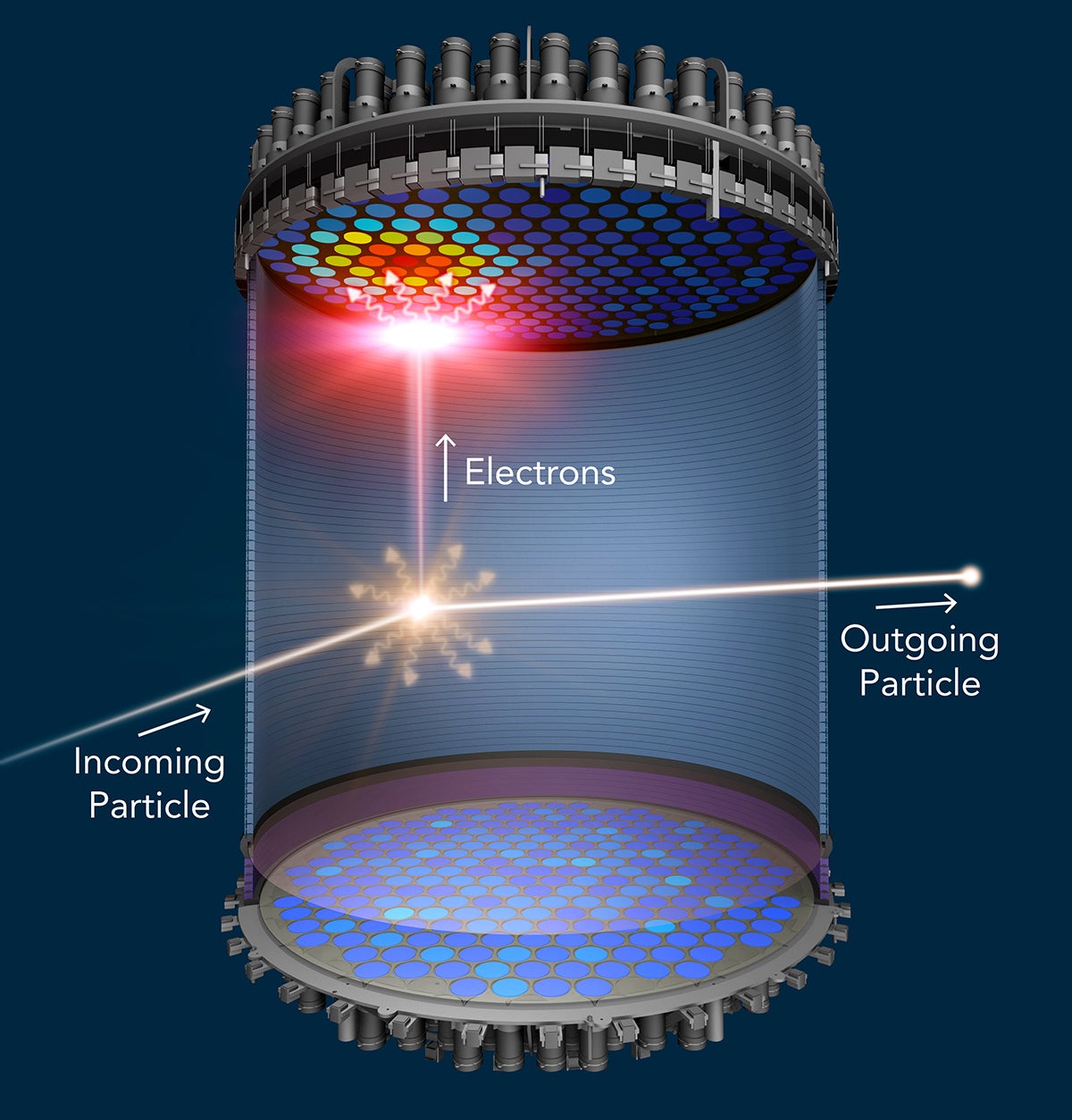 Illustration showing what happens inside the LUX-ZEPLIN main detector.