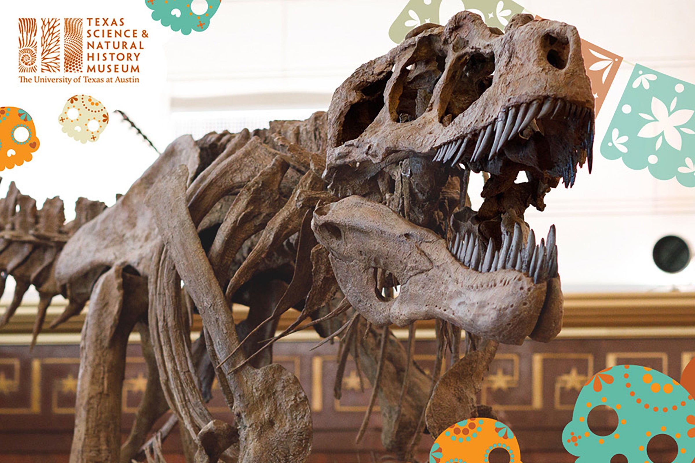T-rex skeleton with Day of the Dead skulls decorating the image