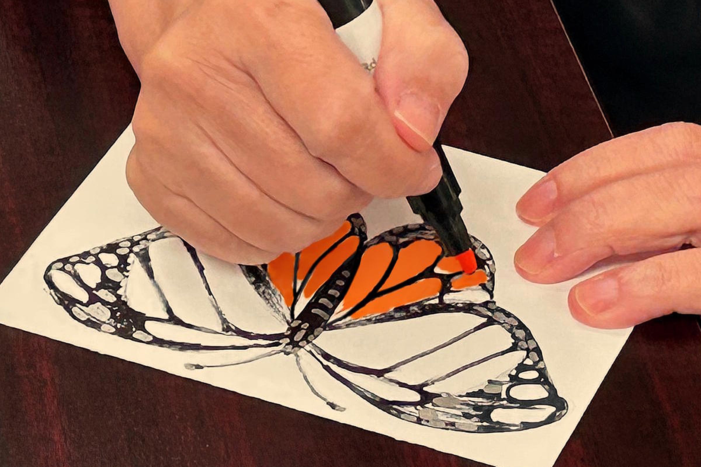 Hand using an orange marker to fill in black outlines of a butterfly.