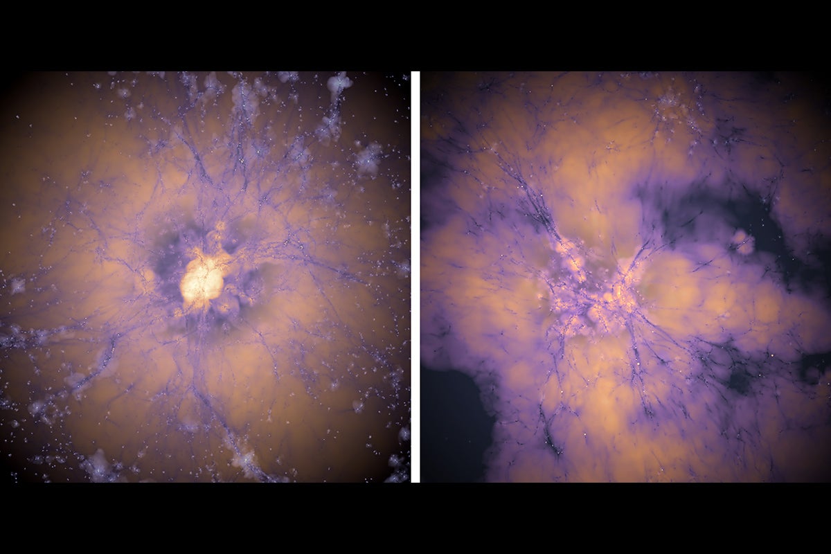 Views of the early universe from a computer model