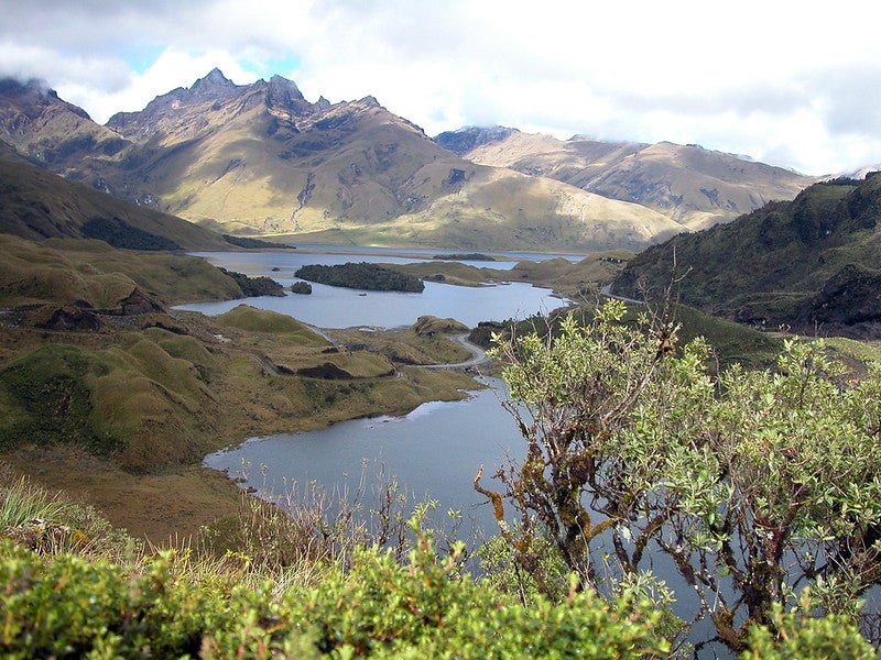 A nature scene in Ecuador shows a lake, trees and the Andes mountains. Used under the Creative Commons CC BY-SA 2.0 license. Credit: Ministerio de Turismo Ecuador.