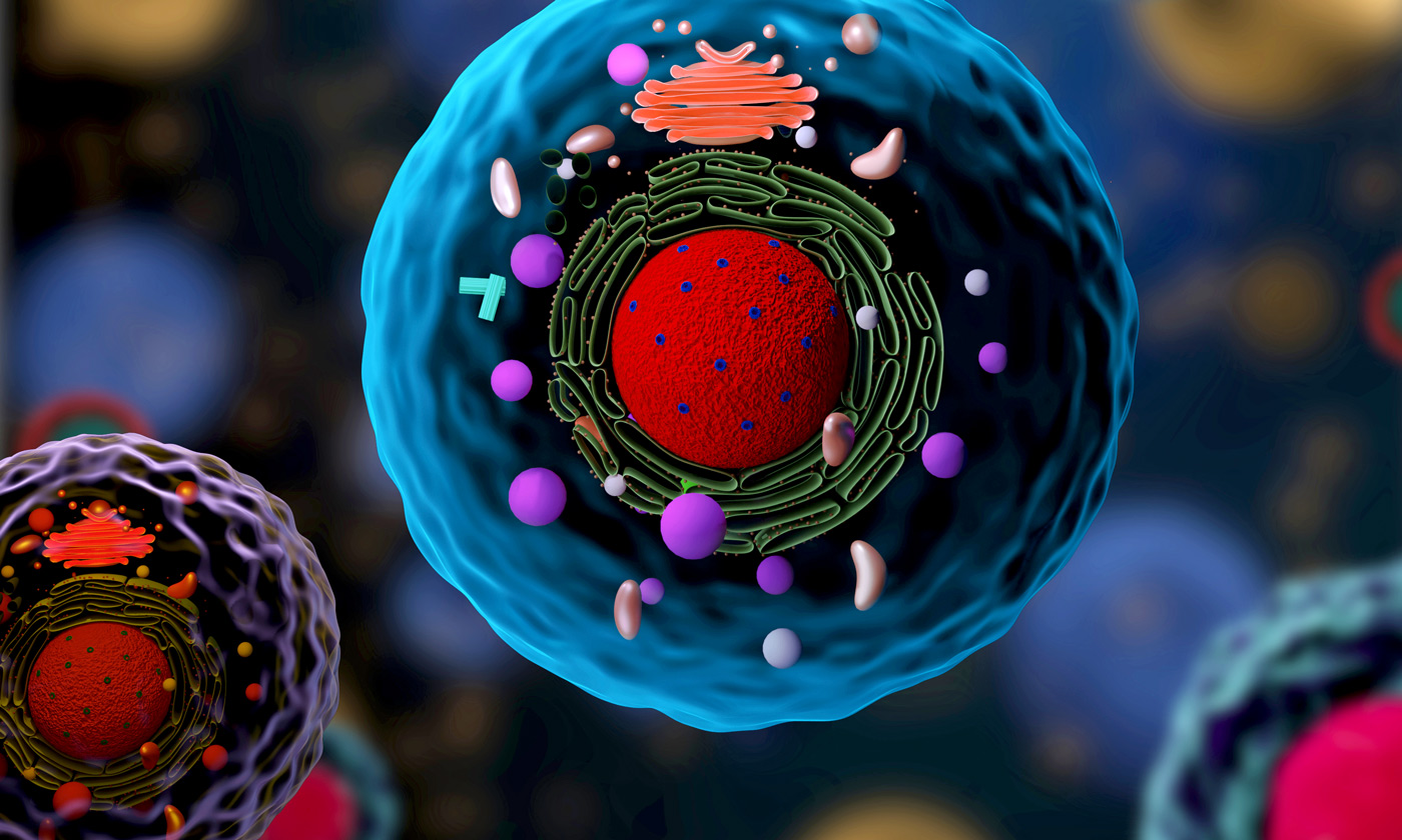 Illustration of the inside of a biological cell