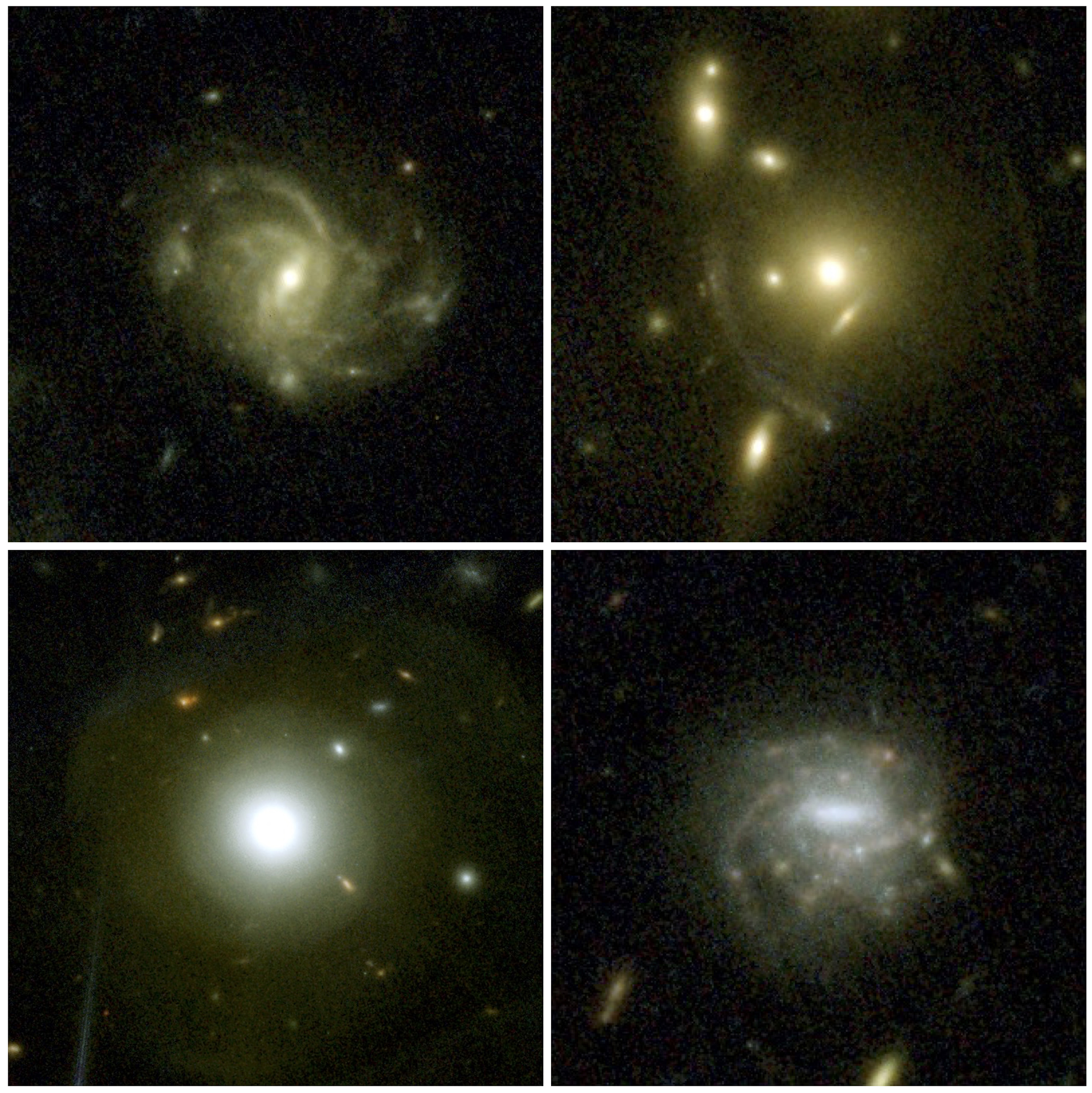 A montage of four galaxies from the early universe