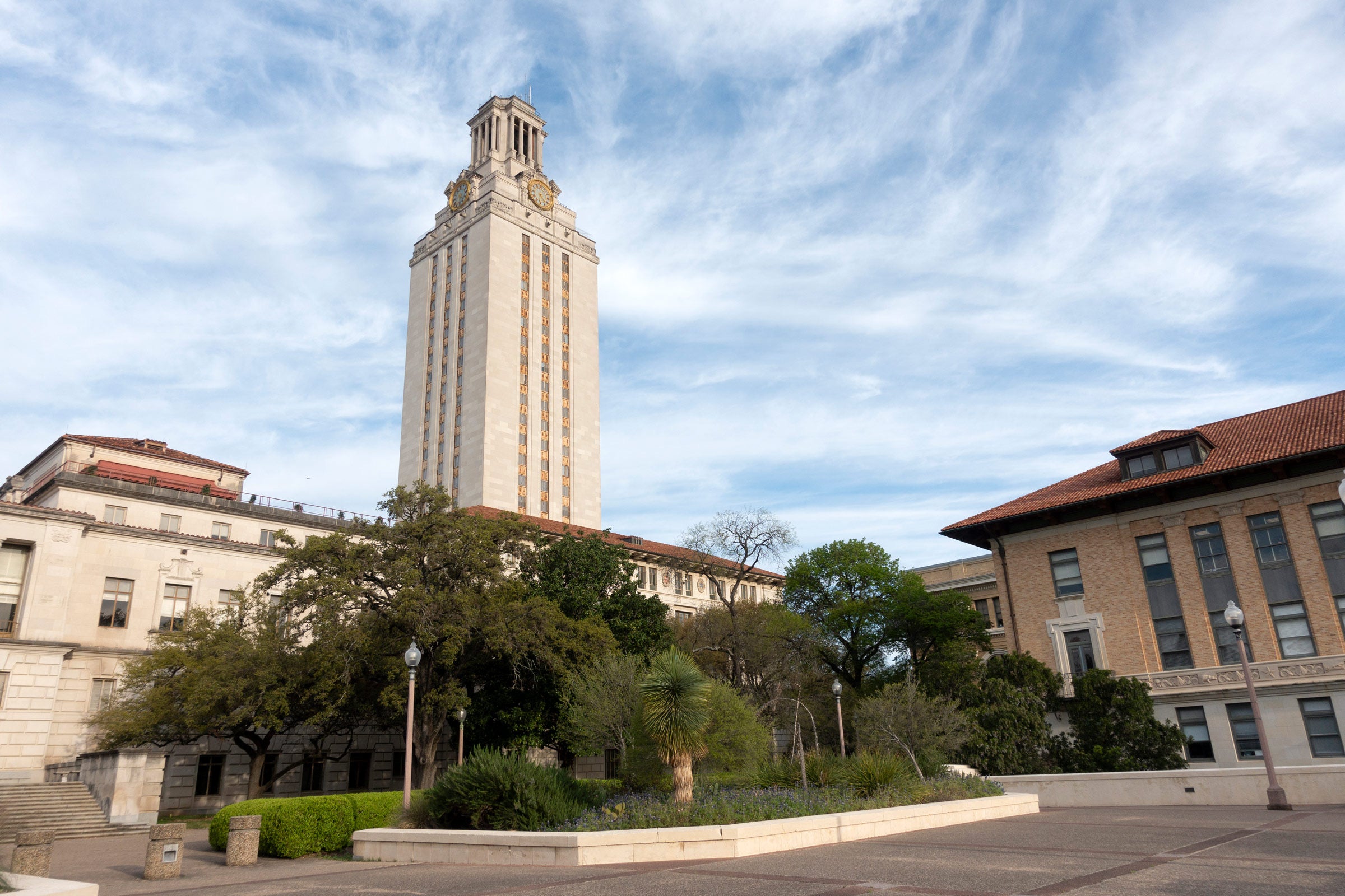 Image of the UT Tower