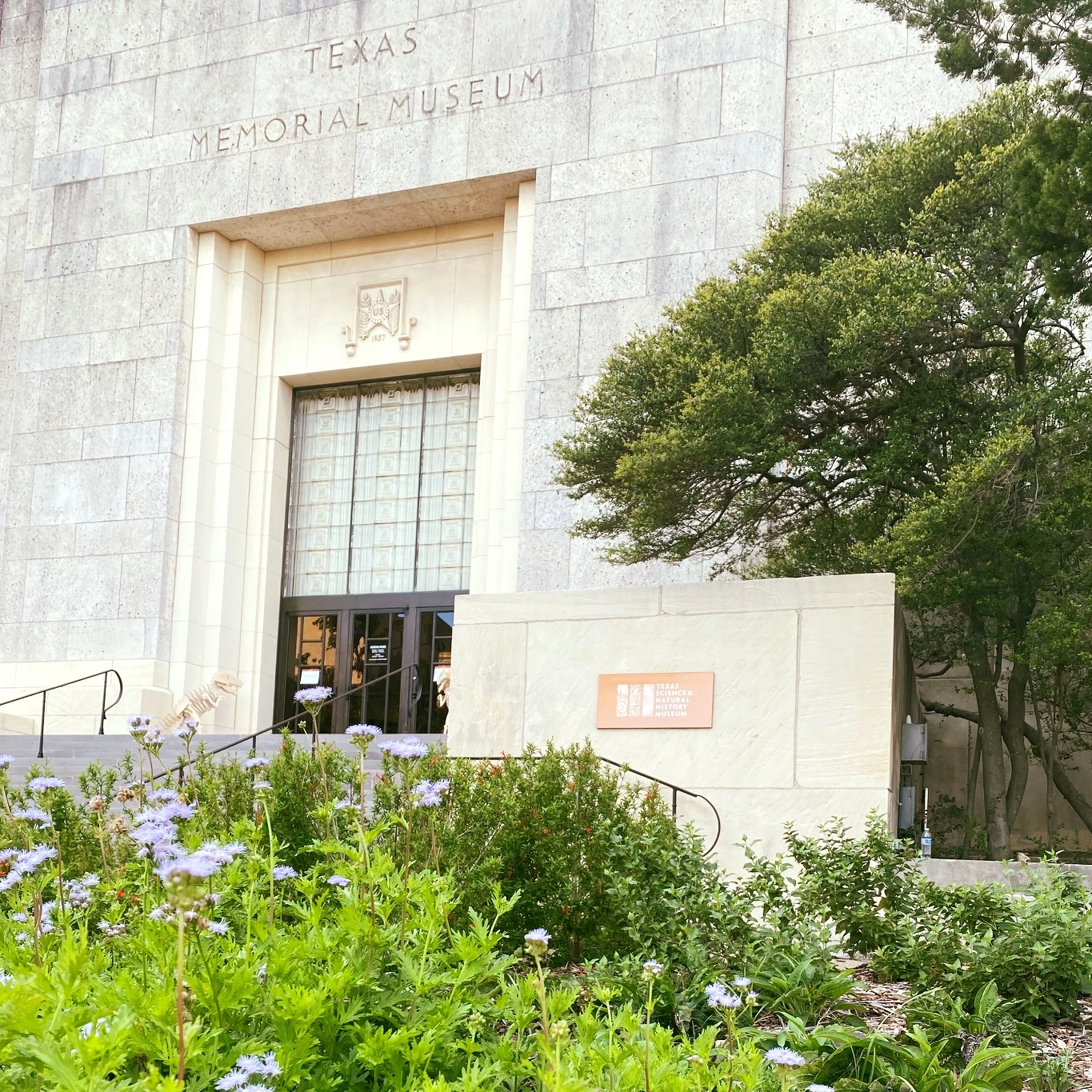 A building with the words etched in limestone that read Texas Memorial Museum and a sign reading Texas Science and Natural History Museum has a garden outside with flowers in bloom 