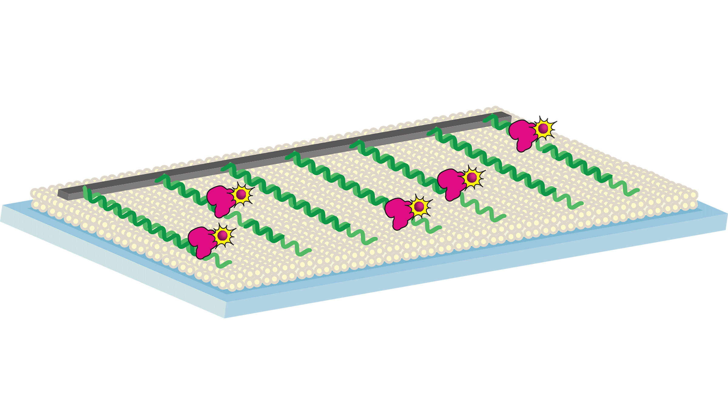 Illustration of a new single-molecule imaging technique