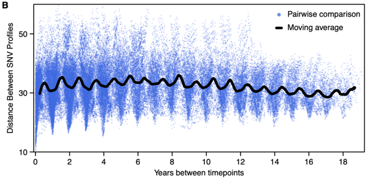 A graph of a black line undulating up and down as it moves from left to right through time