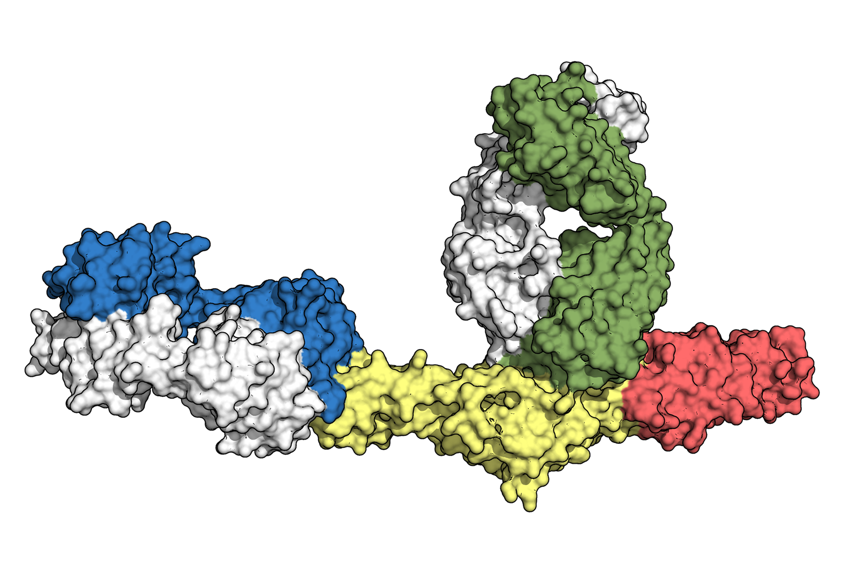 A multicolored molecule