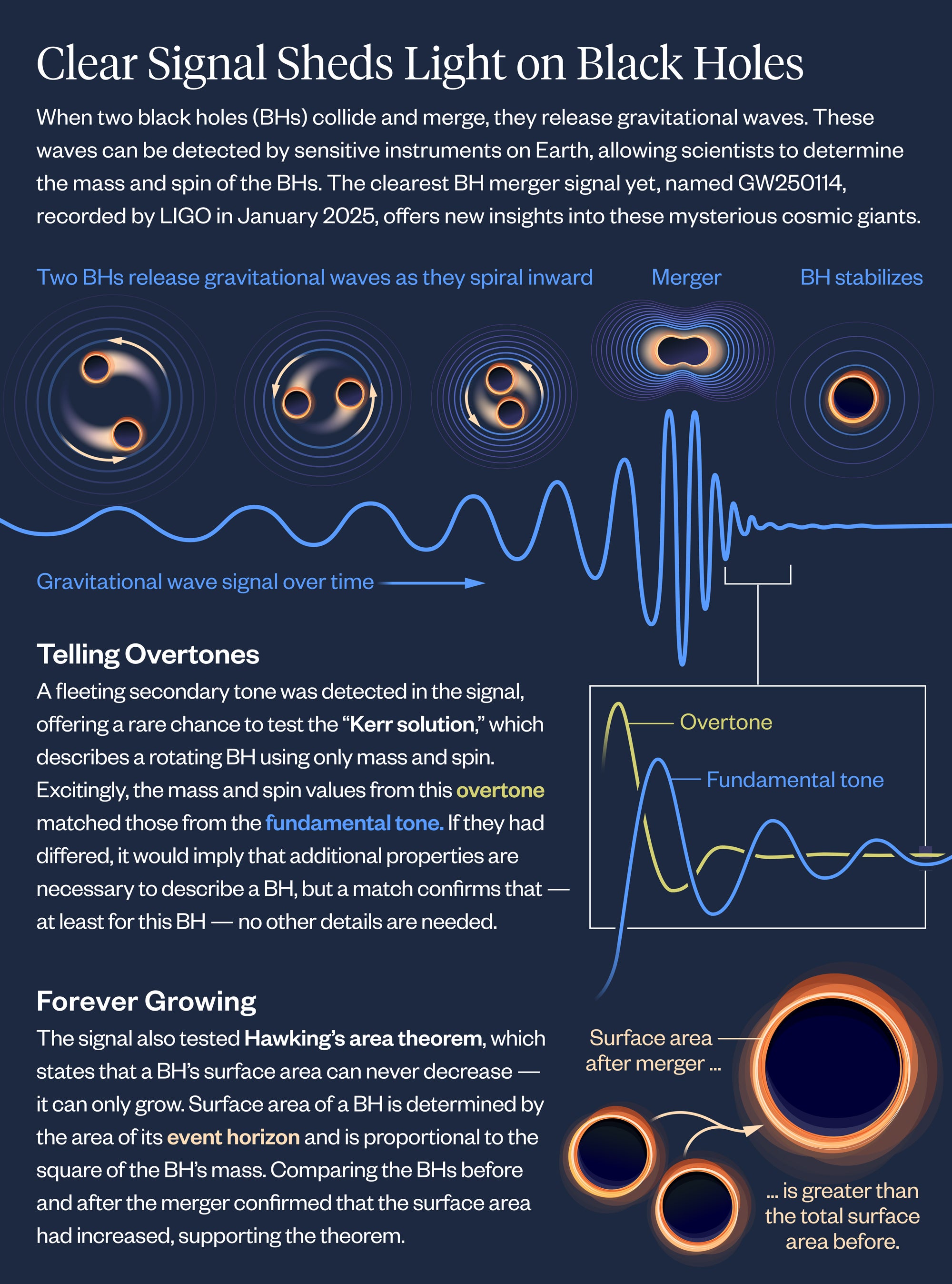 An infographic shows how the process of two black holes merging relates to the gravitational wave signal that is produced, an undulating white line with peaks and troughs that become more and more closely bunched up leading up to the merger and then relaxing into a more gentle wave after