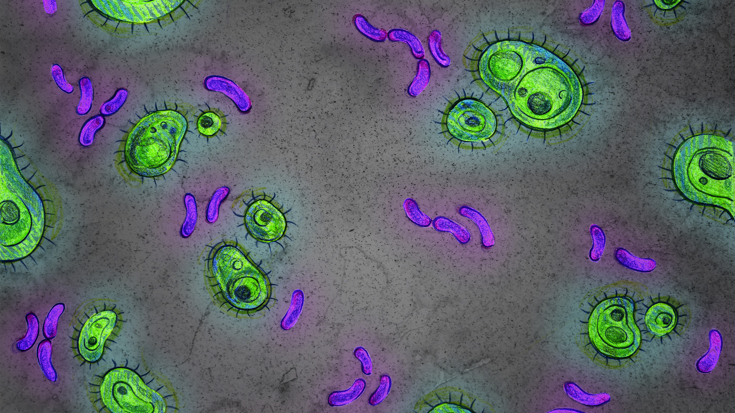 Illustration of green and purple microbes enlarged under a microscope