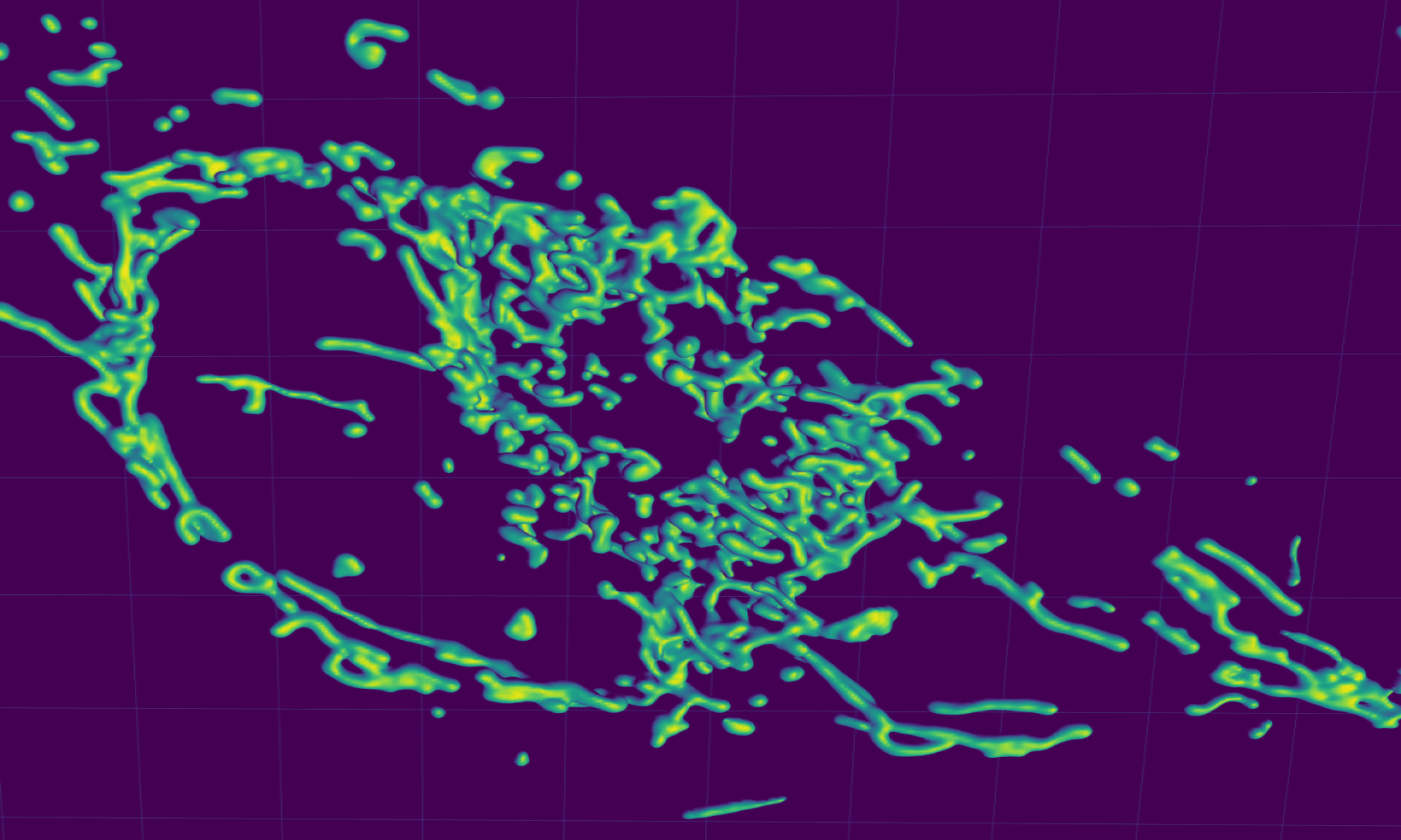 Microscopic image of mitochondria in a cell