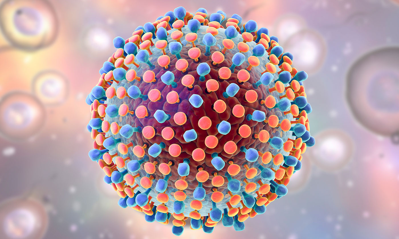   An artist rendering of the Hepatitis C virus.