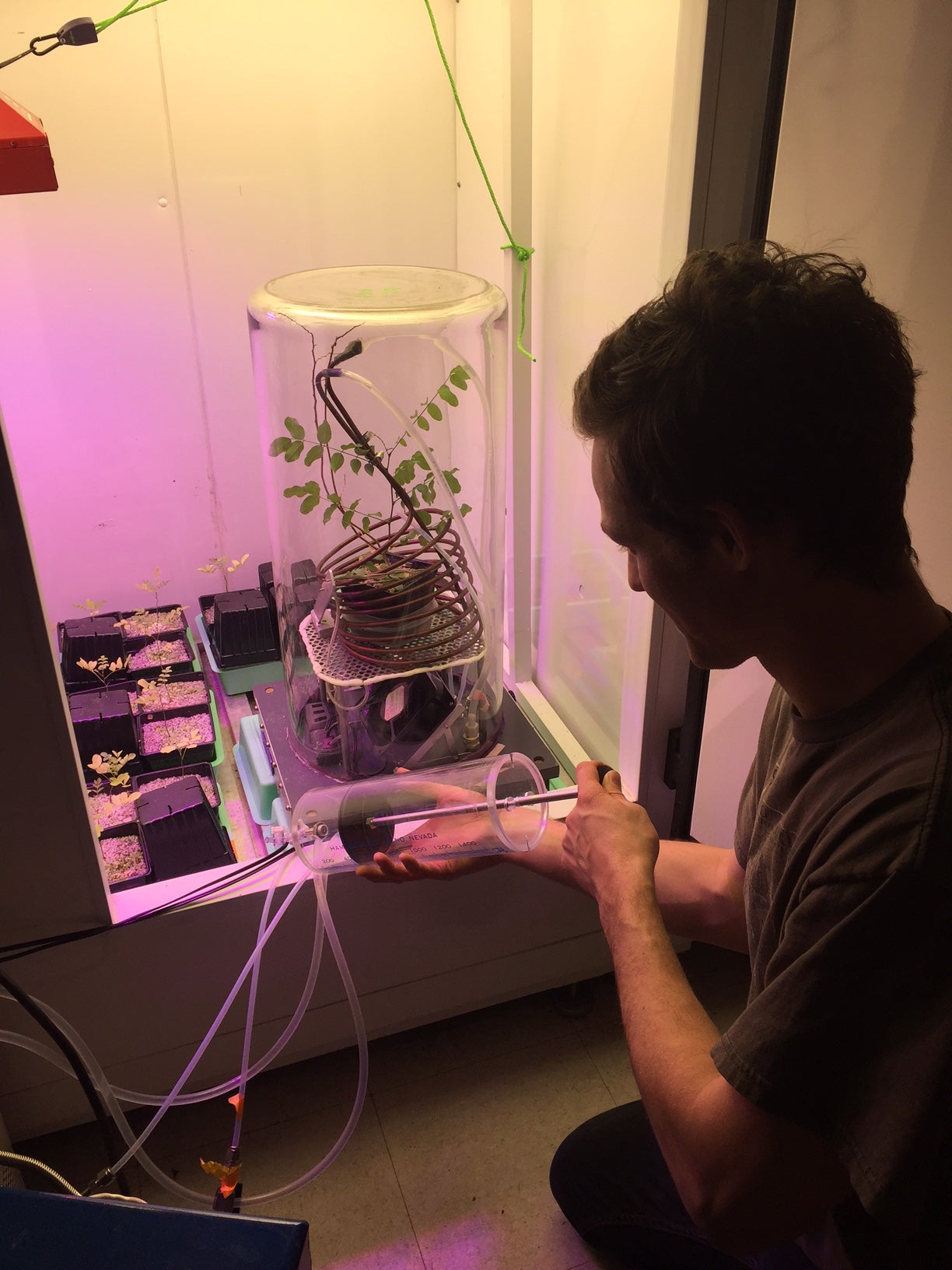 A scientist kneels in front of a plant in a glass container and scientific equipment