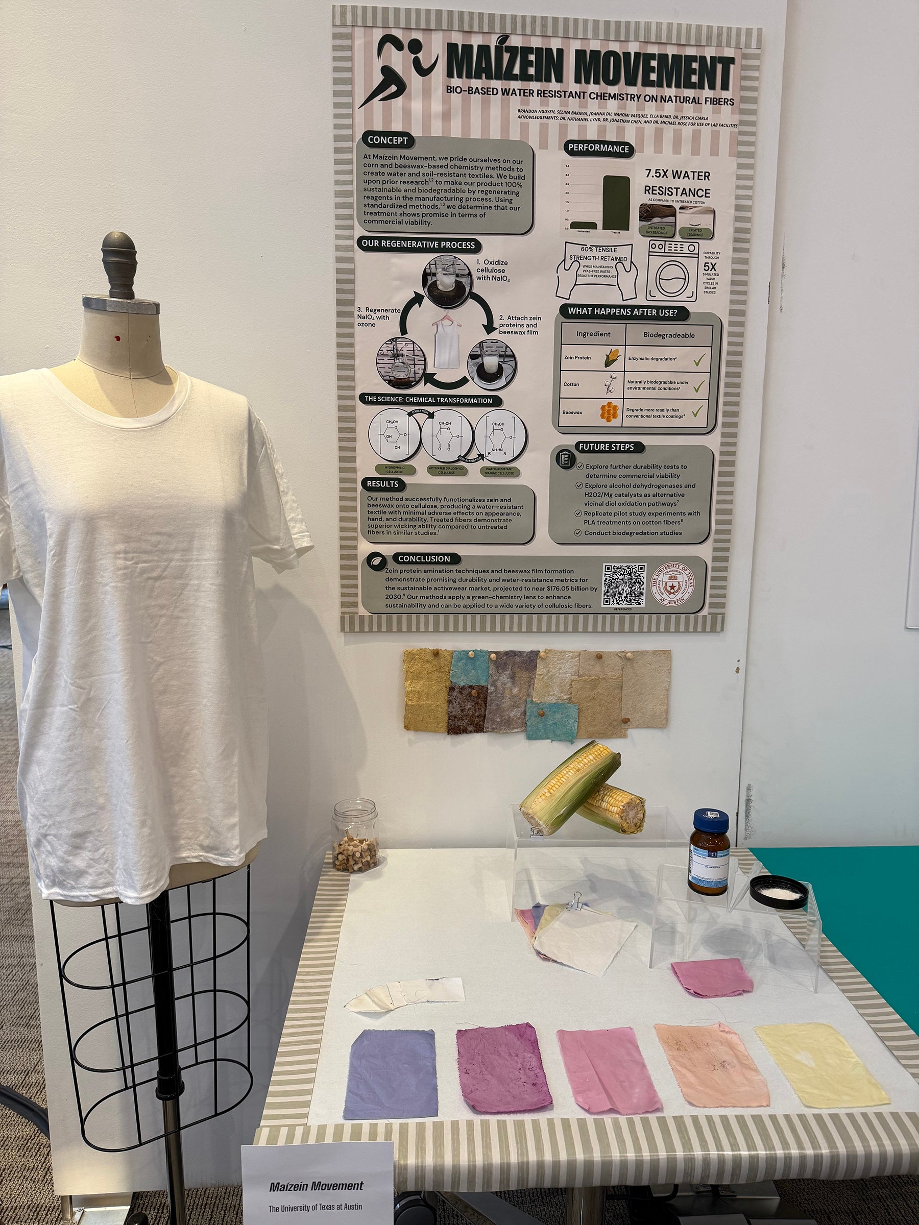 A white t-shirt on a headless manequin, a poster describing the Maizen Movement project and a table with two ears of corn and rectangular fabric samples of various colors