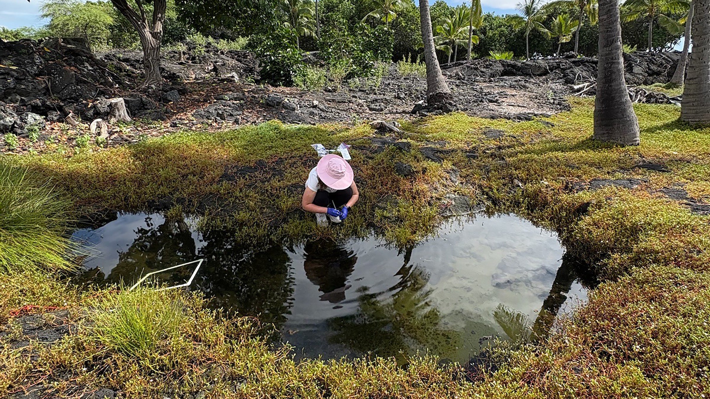 Collecting data for research.An image of Mariangel